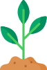 sprouting plant graphic
