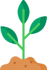 sprouting plant graphic