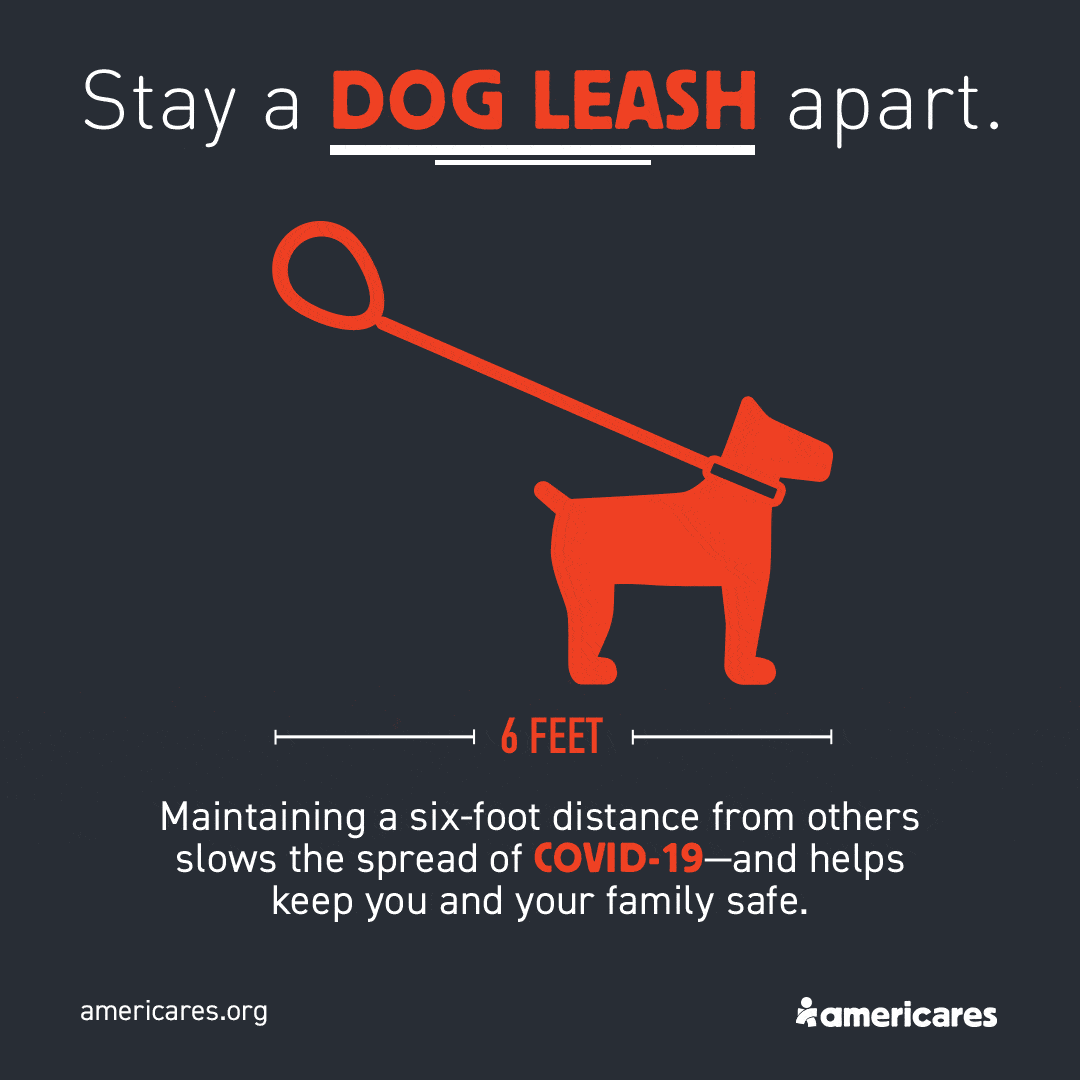 Graphic of a leashed dog with some social media content embedded